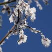 Wellness Winter Wochen